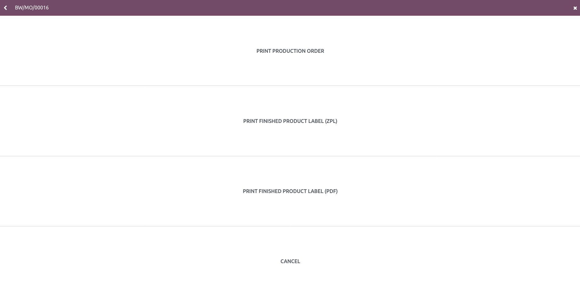 Processing manufacturing order