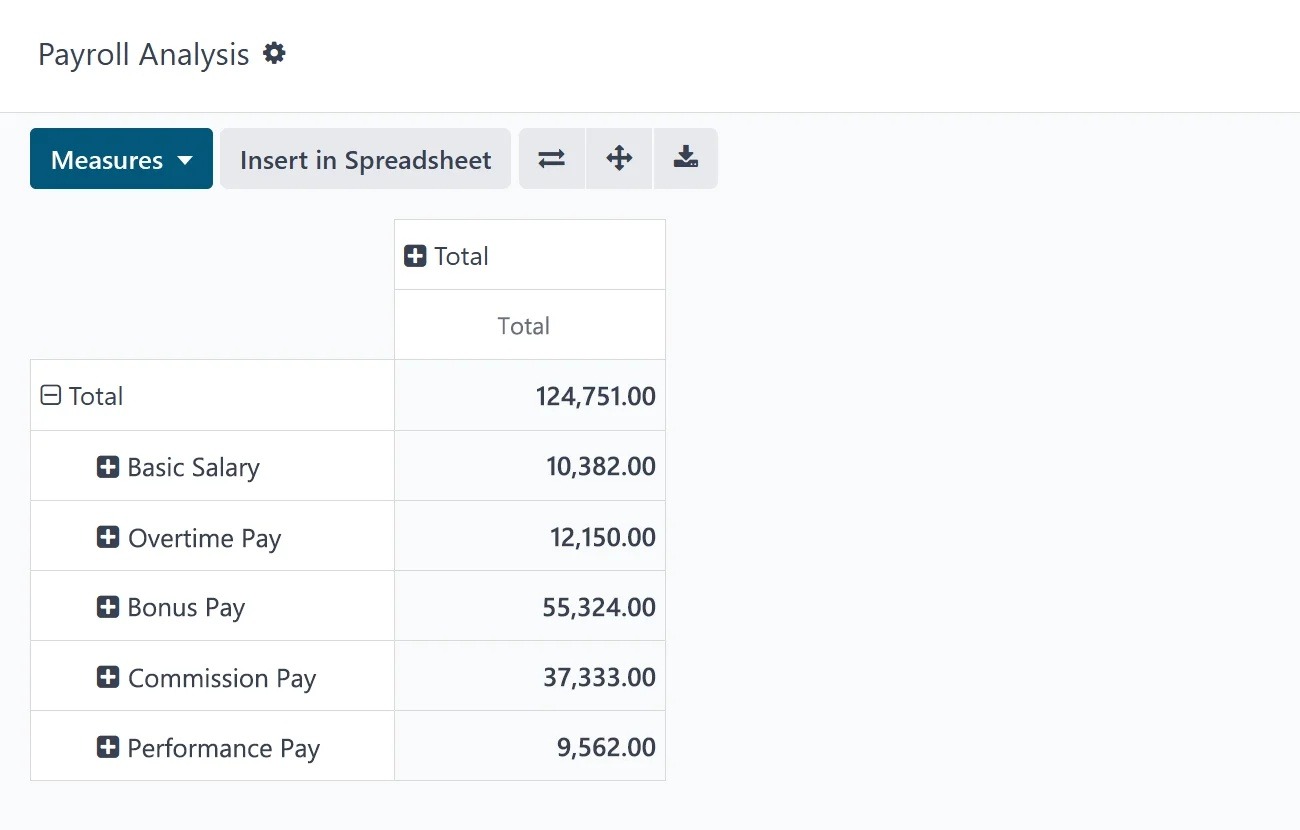 Payslip analysis in payroll software