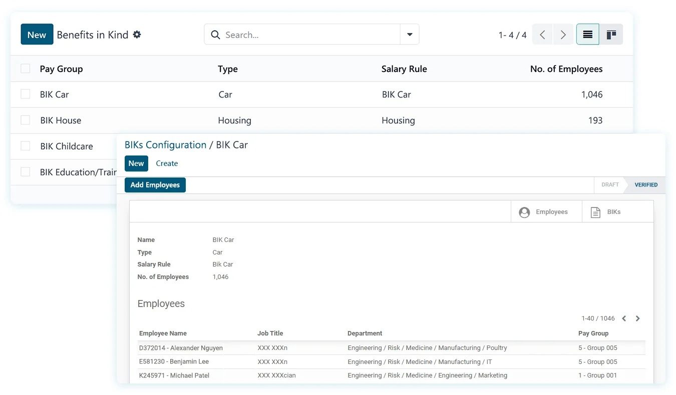 Benefits in kind configuration in payroll software