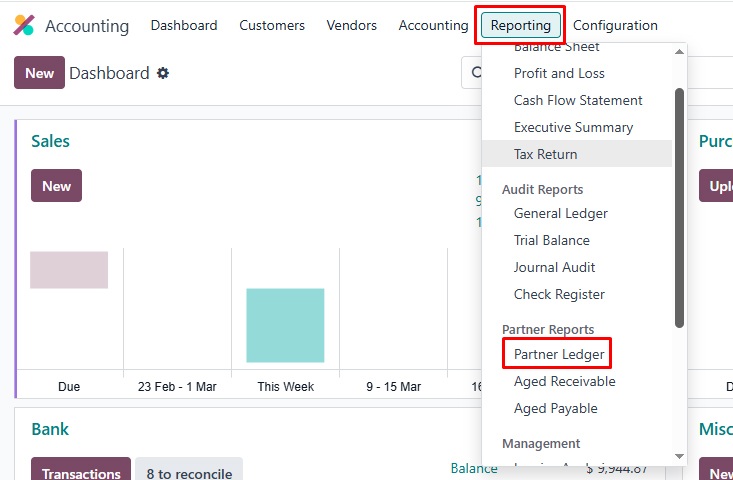 Odoo Accounting Partner Ledger