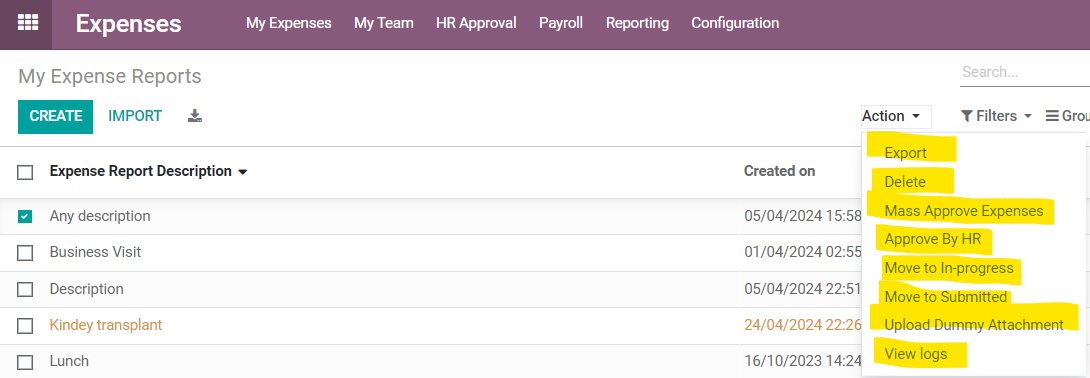 Expense Report Actions Available for HR Users