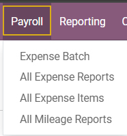 Options available to Payroll Team