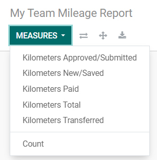 Mileage Report