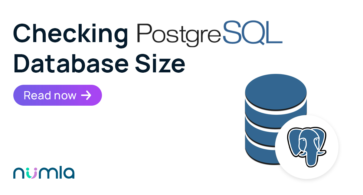 Checking PostgreSQL Database Size | Numla