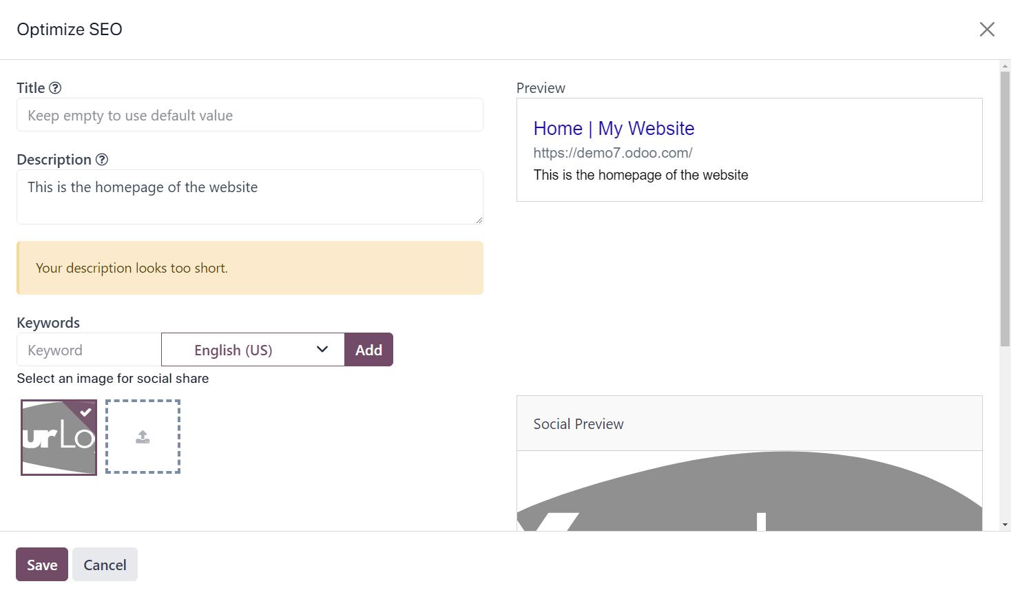 Odoo website module SEO options